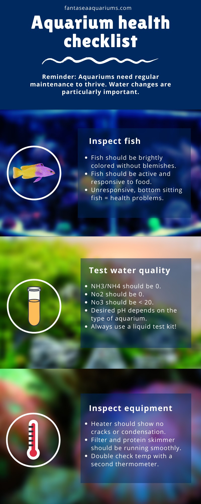 Aquarium health checklist