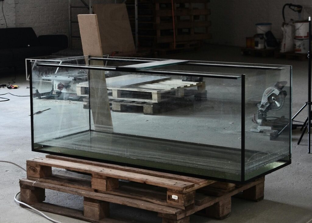 How Big Should My Aquarium Be? Tank Size Considerations - Maryland ...