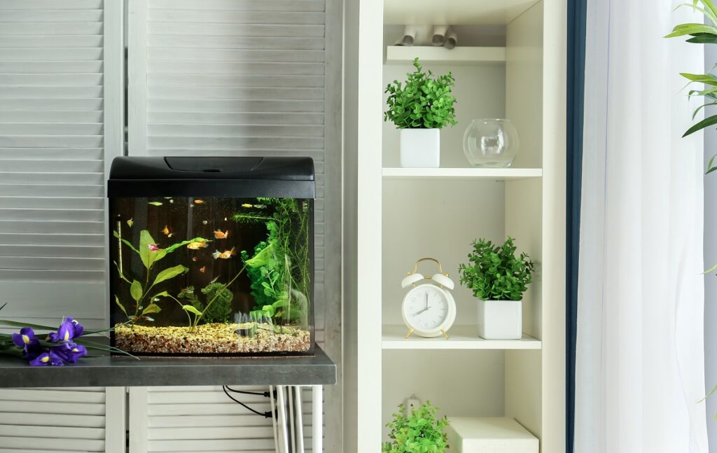 View of New VS Secondhand: Should You Buy A Used Aquarium? - Maryland Aquarium ...